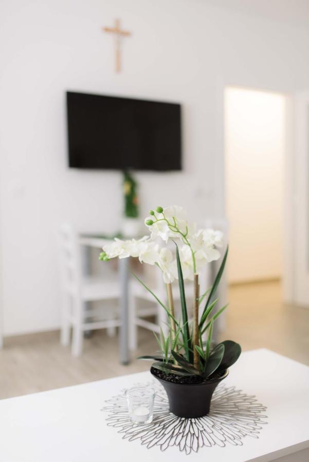 Ruza Apartmani זאדאר מראה חיצוני תמונה